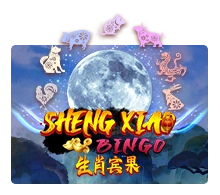 Sheng Xiao Bingo - ZENPLAY77