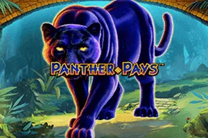 Playtech : Panther Pays - ZENPLAY77