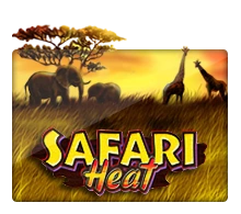 Joker123 : Safari Heat - ZENPLAY77