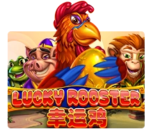 Lucky Rooster - ZENPLAY77