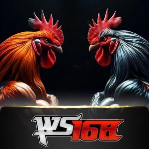 Ws168 Sabung - ZENPLAY77