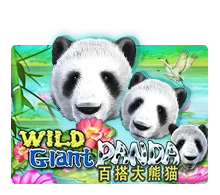 Joker123 : Wild Giant Panda - ZENPLAY77