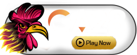 GA28 - ZENPLAY77