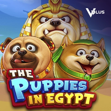 Vplus : The Puppies In Egypt - ZENPLAY77