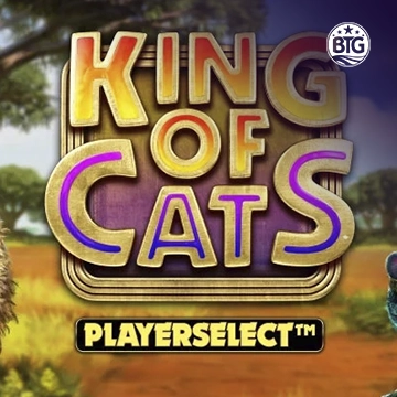 Bigtime : King of Cats - ZENPLAY77