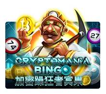 Crypto Mania Bingo - ZENPLAY77