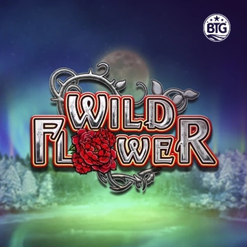 Bigtime : Wild Flower - ZENPLAY77
