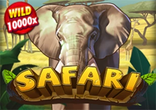 AFB : Safari - ZENPLAY77