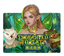 Enchanted Forest - ZENPLAY77