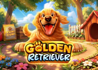 Golden Retriever - ZENPLAY77