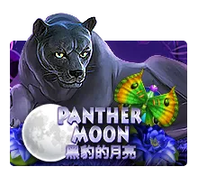 Joker123 : Panther Moon - ZENPLAY77